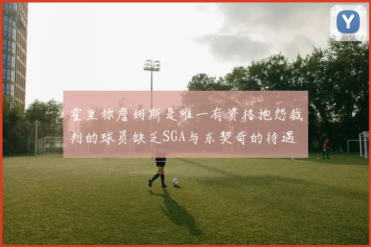 霍里称詹姆斯是唯一有资格抱怨裁判的球员缺乏SGA与东契奇的待遇