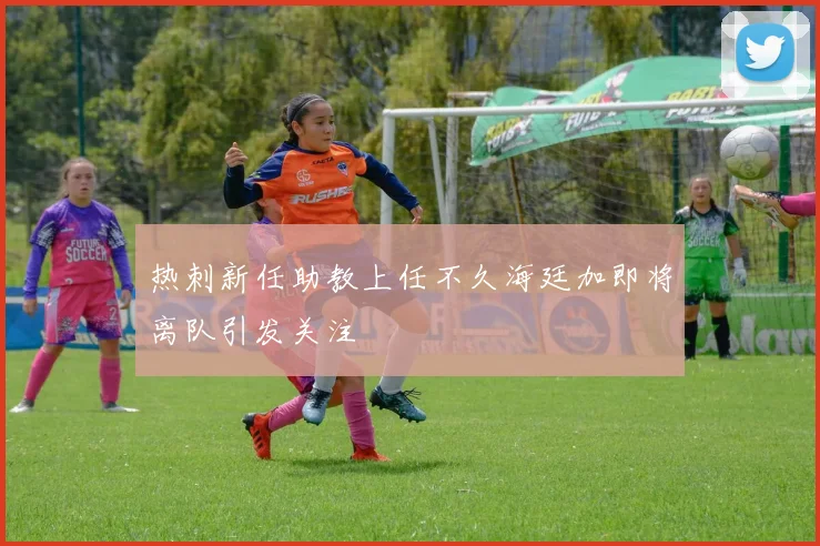 热刺新任助教上任不久海廷加即将离队引发关注