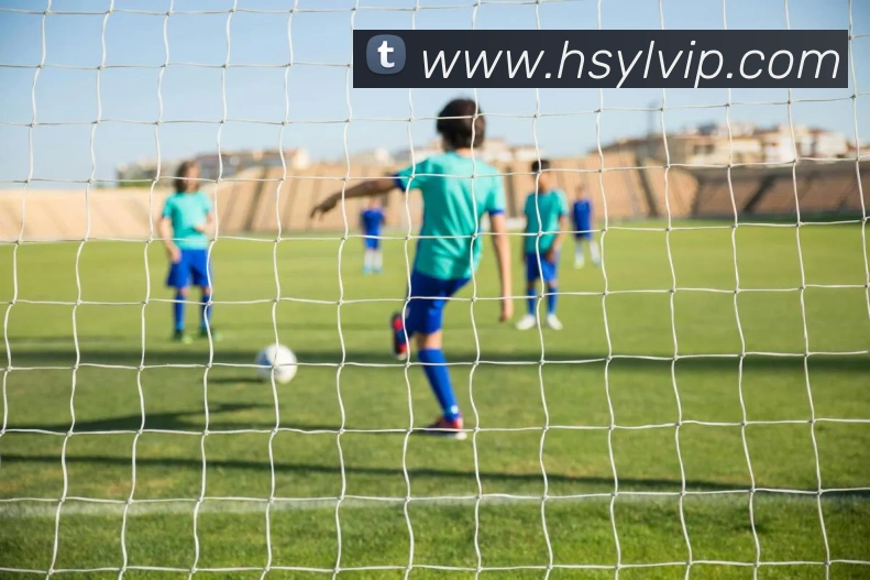 恒盛娱乐APP 封面图